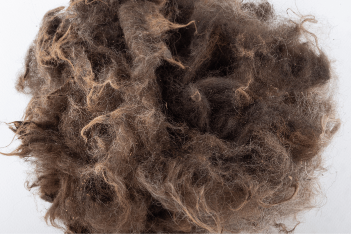 Semi-coarse, greasy, color dark wool